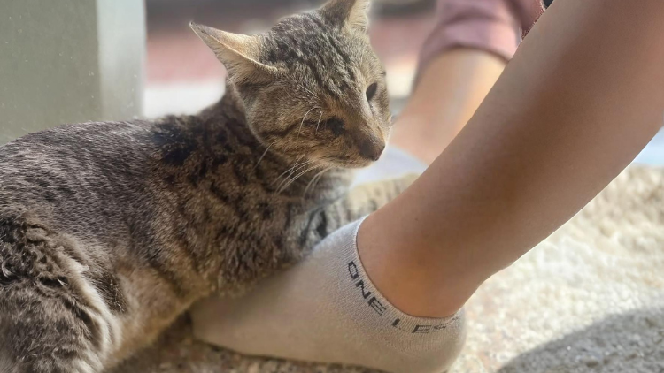 How Do Bamboo Socks Help with Odour Control?