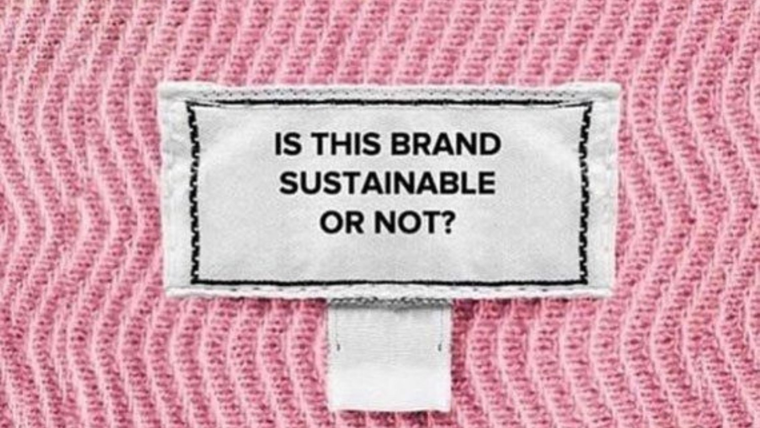 What is greenwashing? And why does it matter?